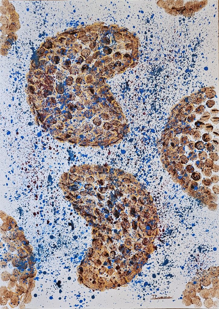 Cacao y pintura acrílica/ cartulina 70 x 100 cm